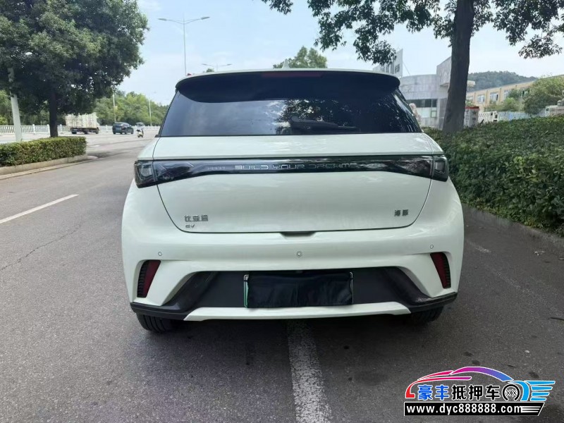 24年比亚迪海豚轿车抵押车出售