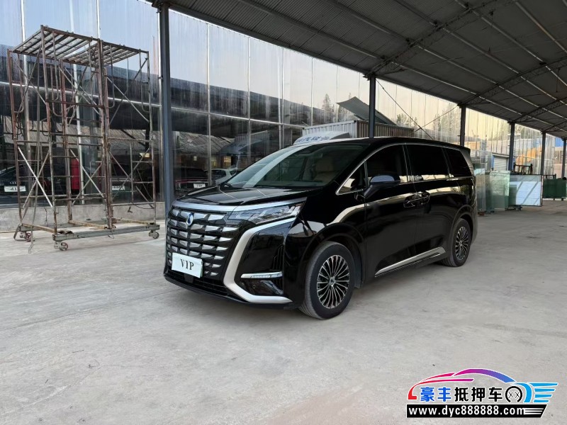 23年腾势D9MPV抵押车出售