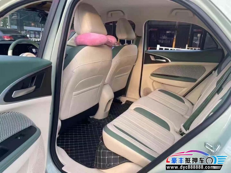 24年欧拉好猫轿车抵押车出售