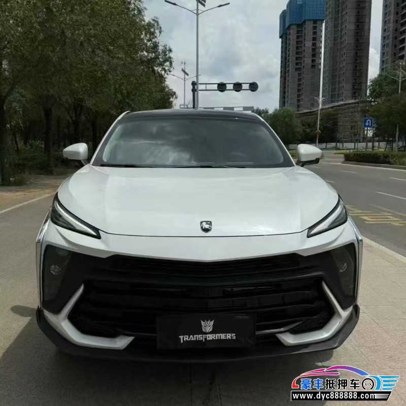 24年东风风行T5轿车抵押车出售