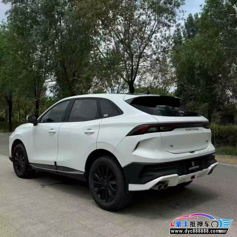 24年东风风行T5轿车抵押车出售