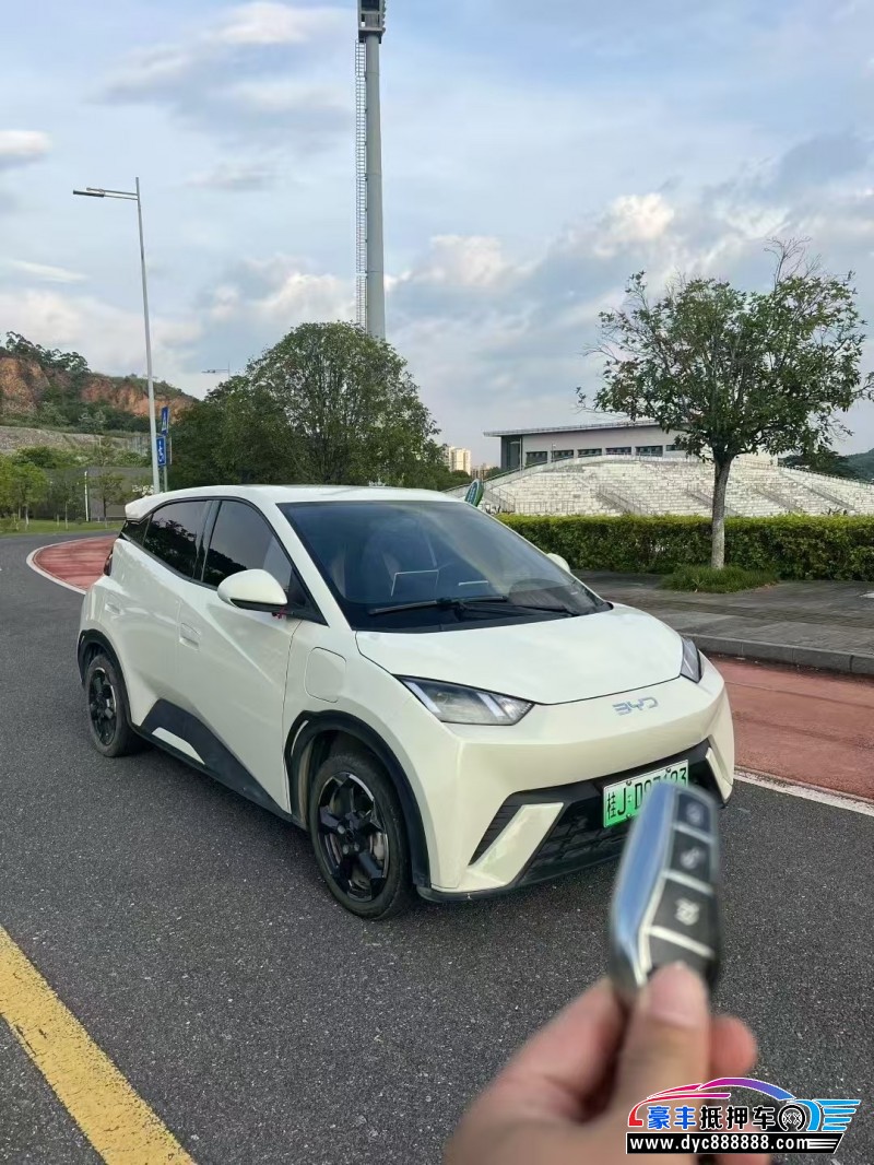 23年比亚迪海鸥轿车抵押车出售