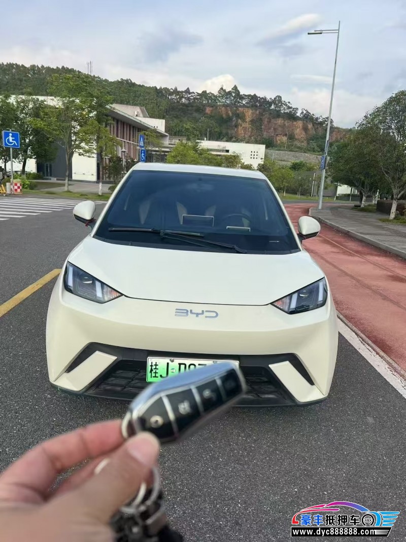 23年比亚迪海鸥轿车抵押车出售