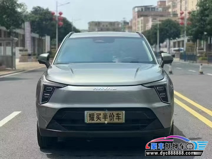 24年长城哈佛枭龙轿车抵押车出售