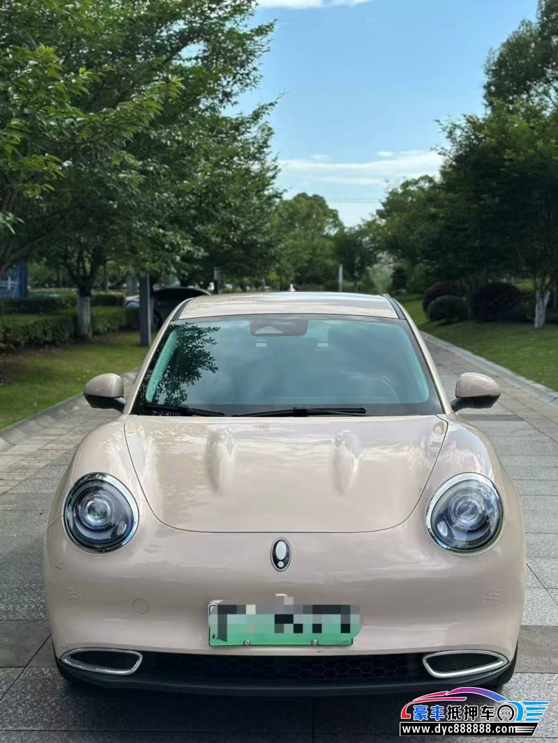 23年欧拉好猫SUV抵押车出售