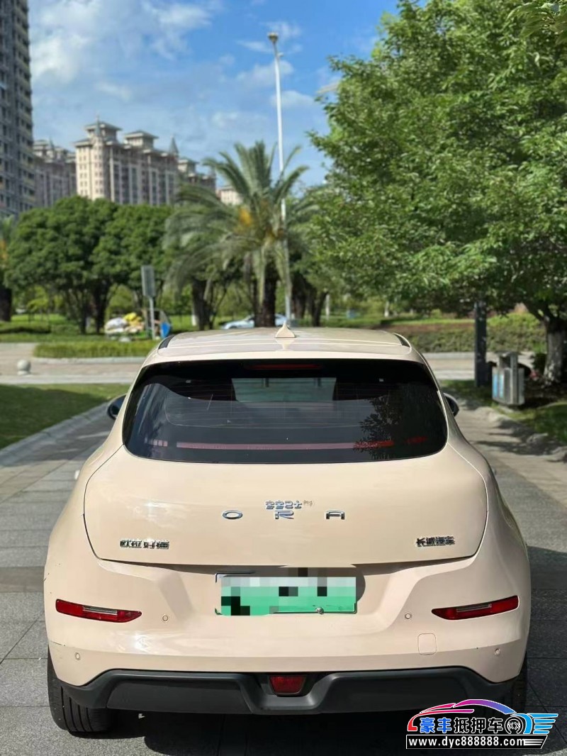 23年欧拉好猫SUV抵押车出售