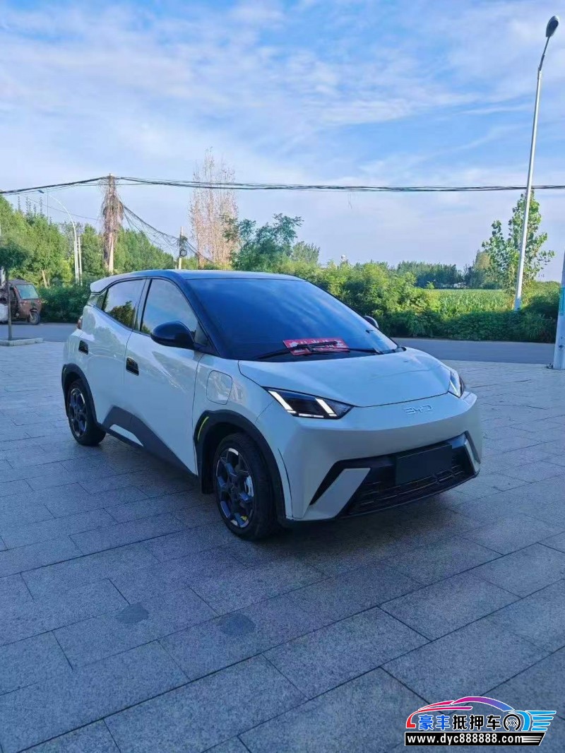 24年比亚迪海鸥轿车抵押车出售