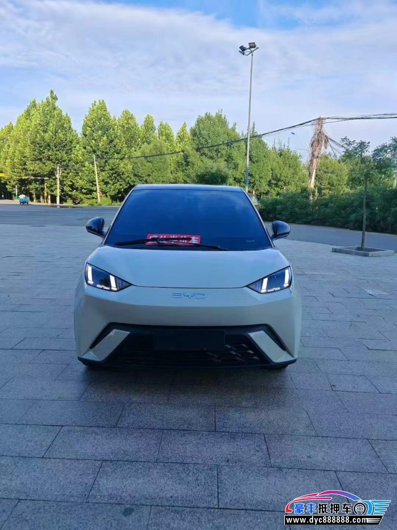 24年比亚迪海鸥轿车抵押车出售