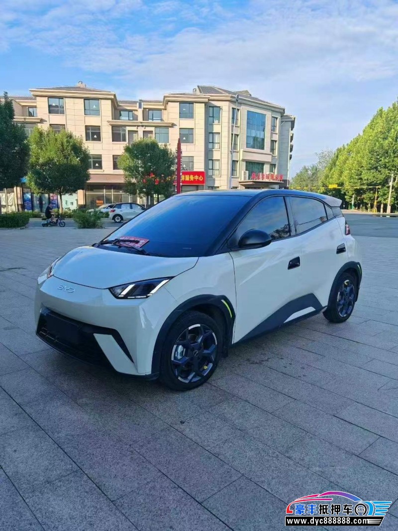 24年比亚迪海鸥轿车抵押车出售