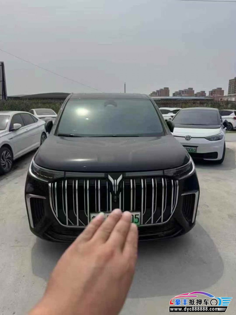 23年岚图梦想家轿车抵押车出售