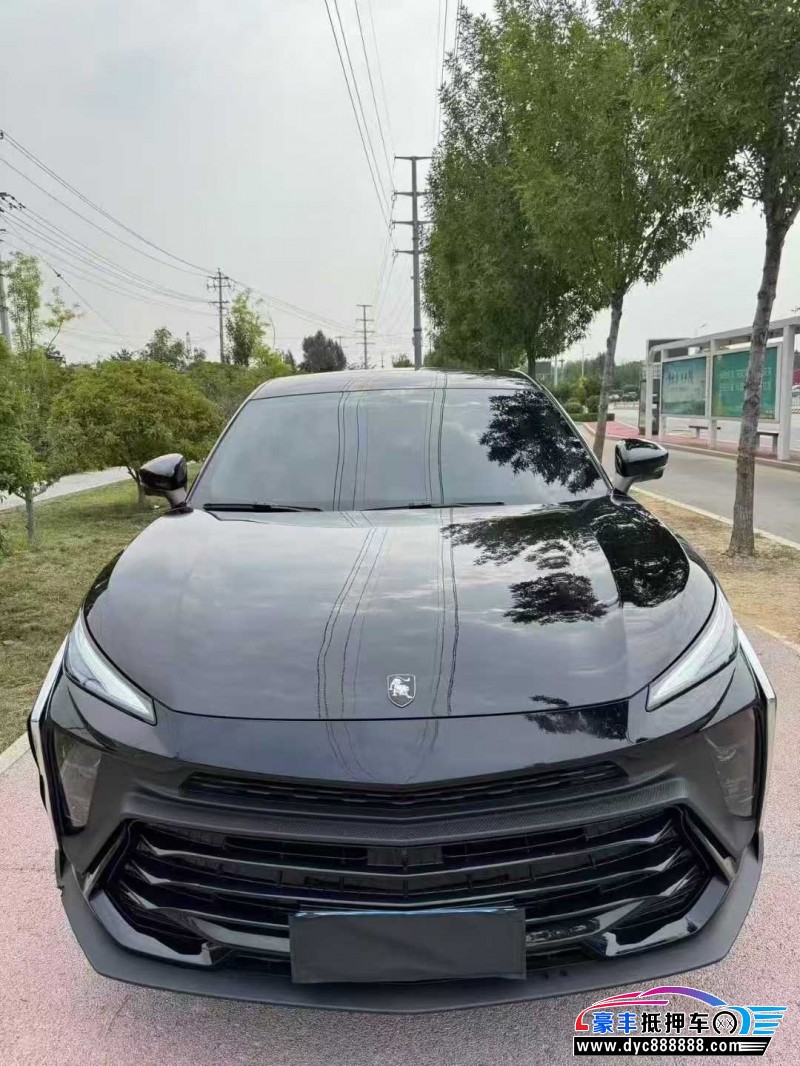 24年东风风行T5轿车抵押车出售