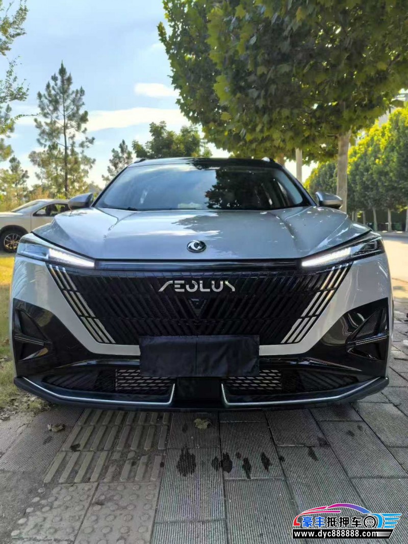 24年东风风神浩瀚轿车抵押车出售