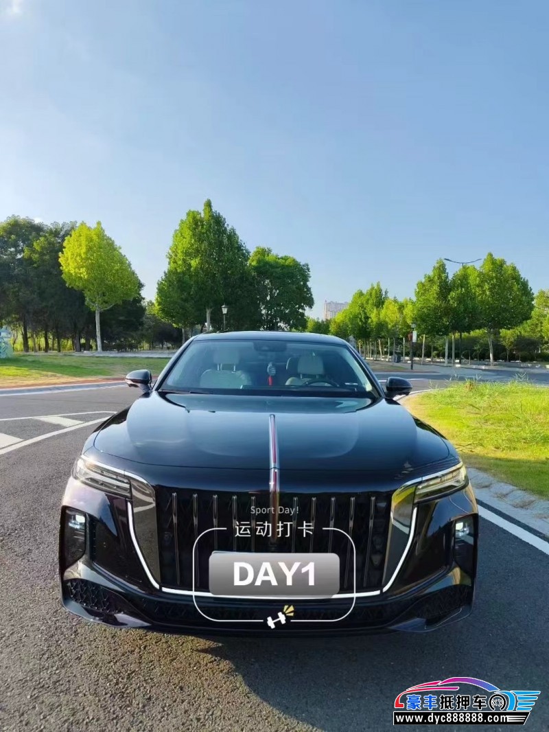 25年红旗H9轿车抵押车出售