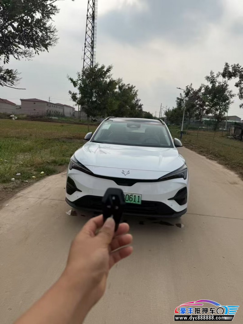 25年极狐阿尔法T轿车抵押车出售