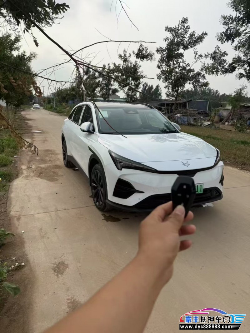 25年极狐阿尔法T轿车抵押车出售