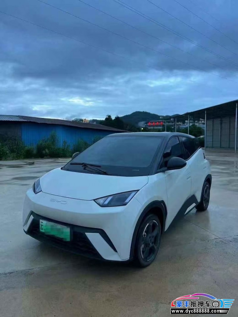 24年比亚迪海鸥轿车抵押车出售