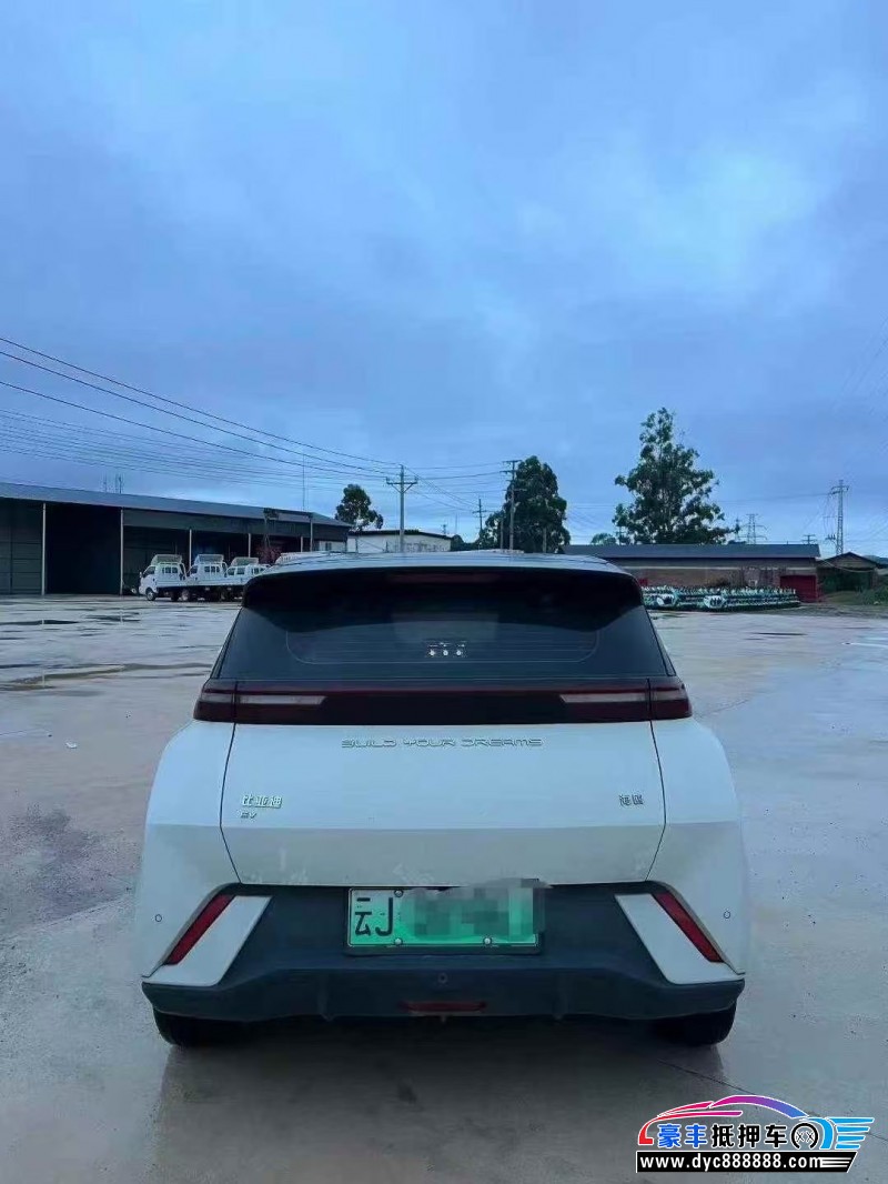 24年比亚迪海鸥轿车抵押车出售