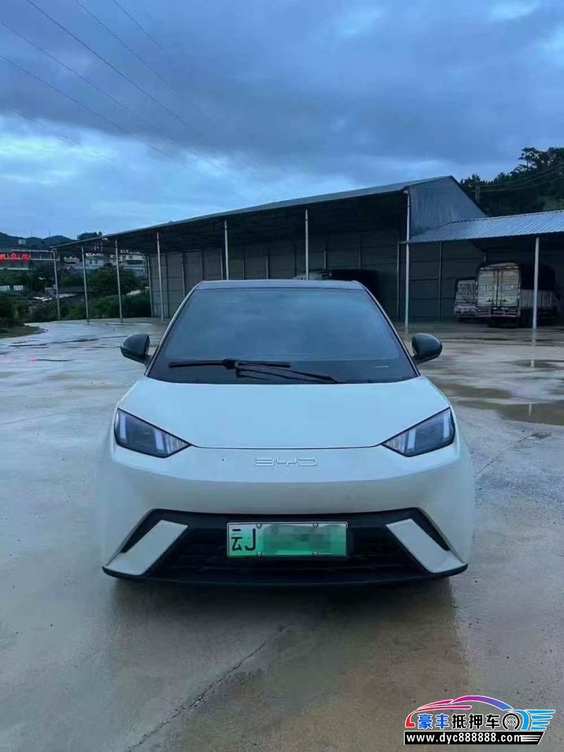 24年比亚迪海鸥轿车抵押车出售