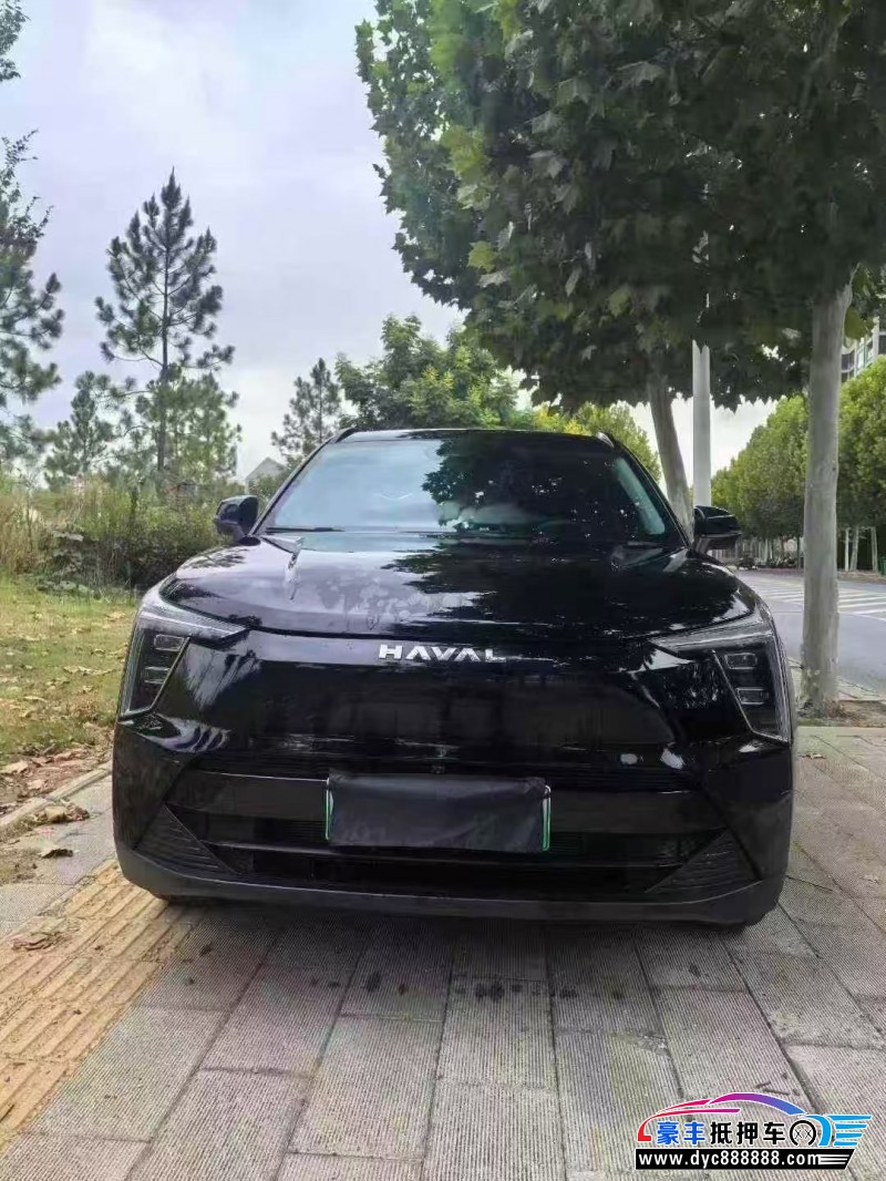 24年长城哈佛枭龙轿车抵押车出售