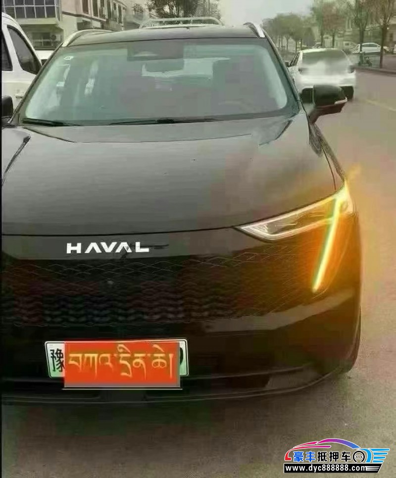 24年长城哈佛枭龙轿车抵押车出售