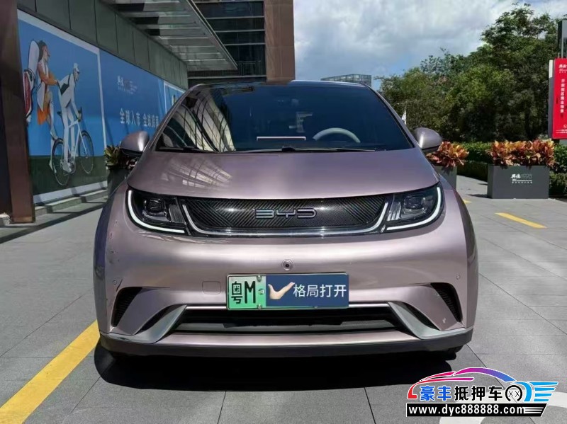 23年比亚迪海豚轿车抵押车出售