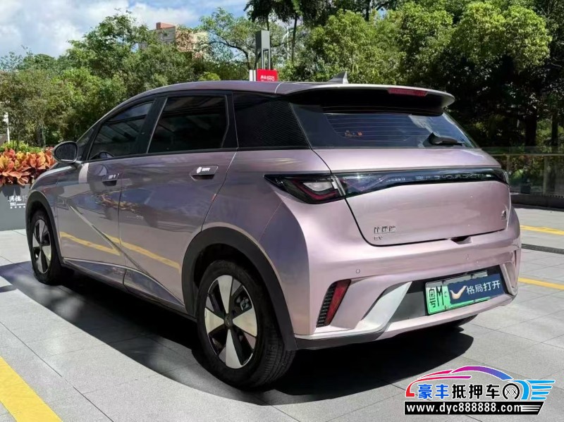 23年比亚迪海豚轿车抵押车出售