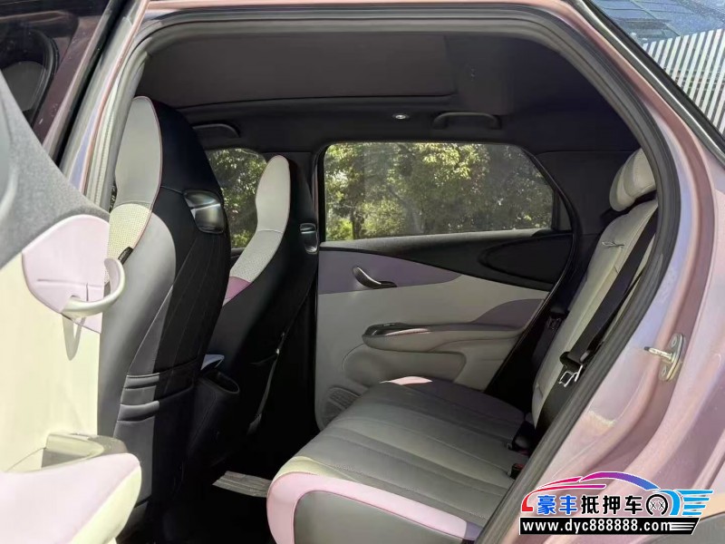 23年比亚迪海豚轿车抵押车出售