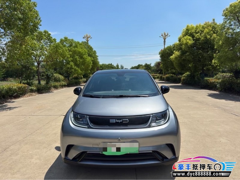 24年比亚迪海豚轿车抵押车出售