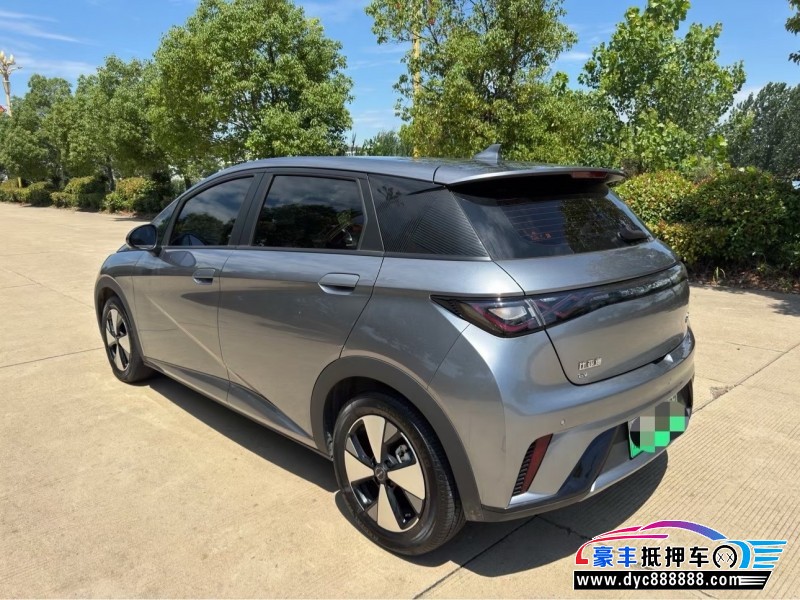 24年比亚迪海豚轿车抵押车出售