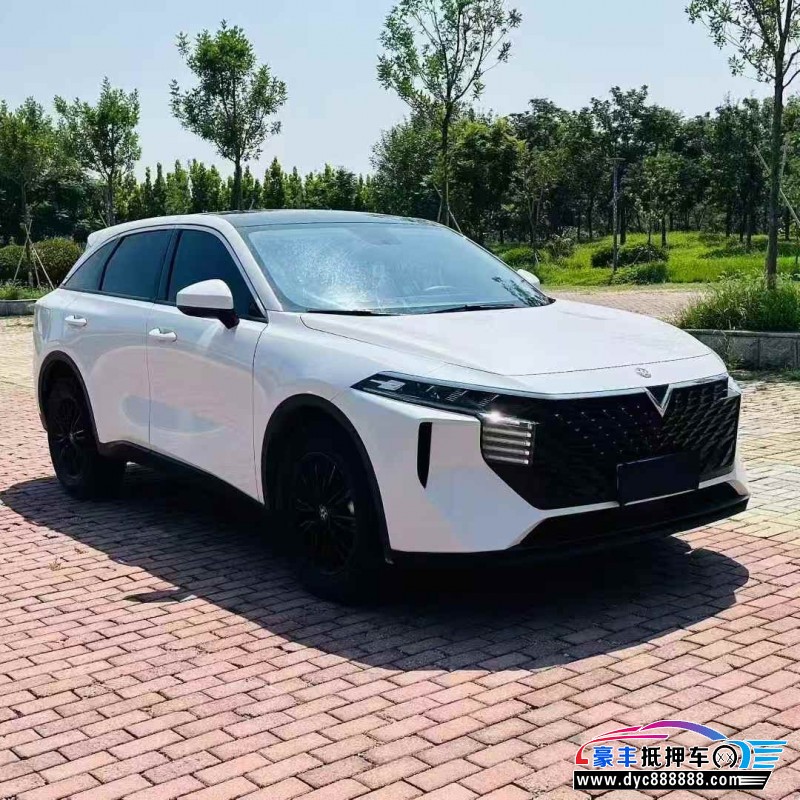 23年启辰大VSUV抵押车出售