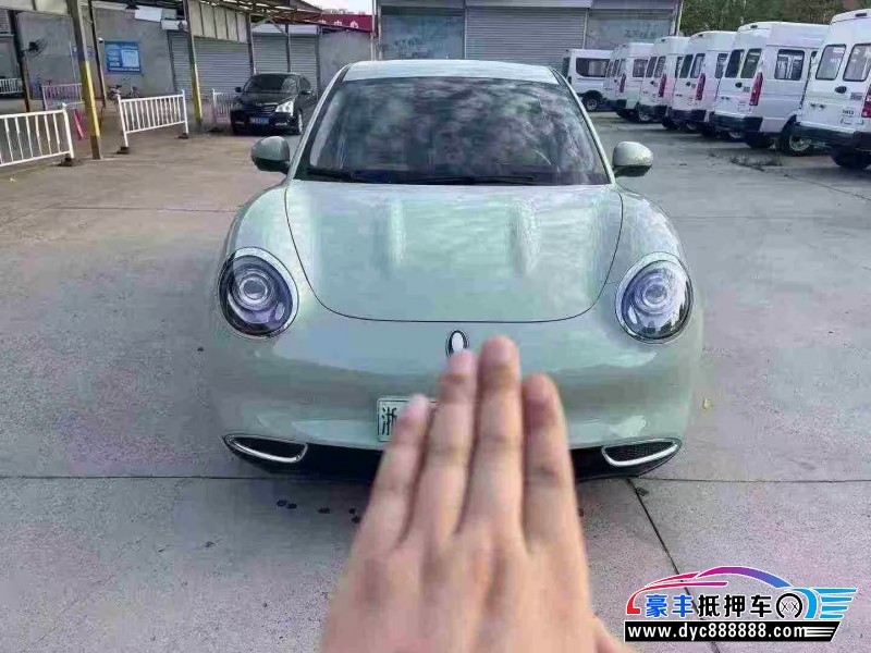 24年欧拉好猫轿车抵押车出售