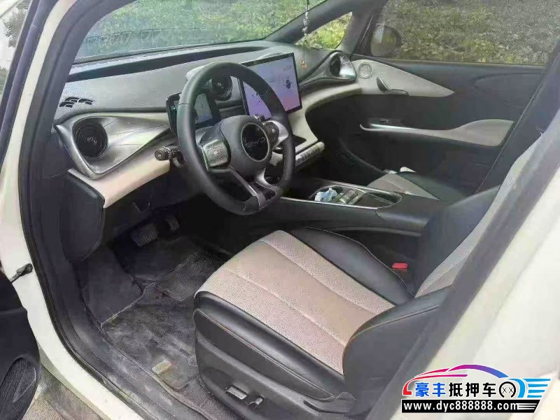 24年比亚迪海豚轿车抵押车出售