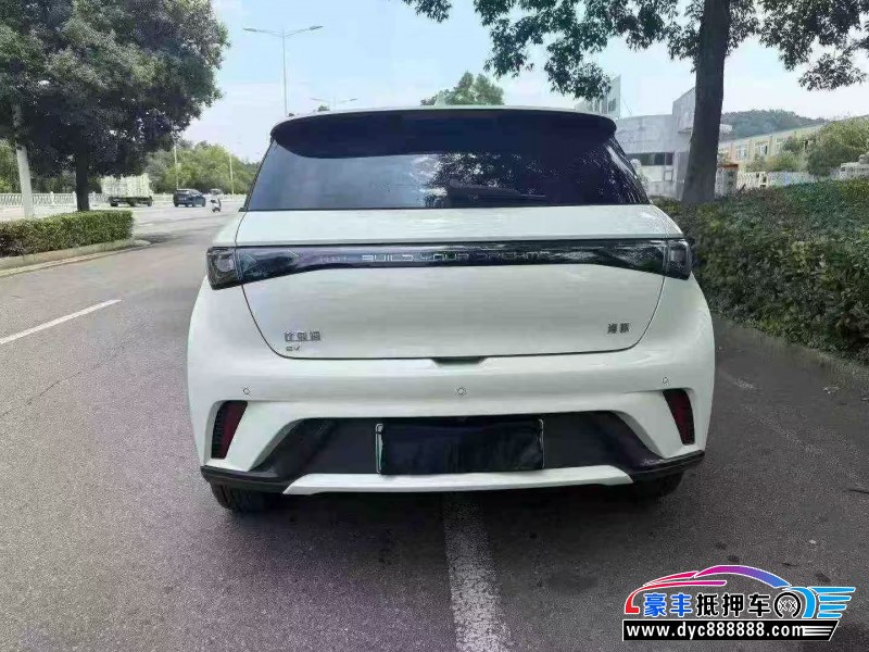 24年比亚迪海豚轿车抵押车出售