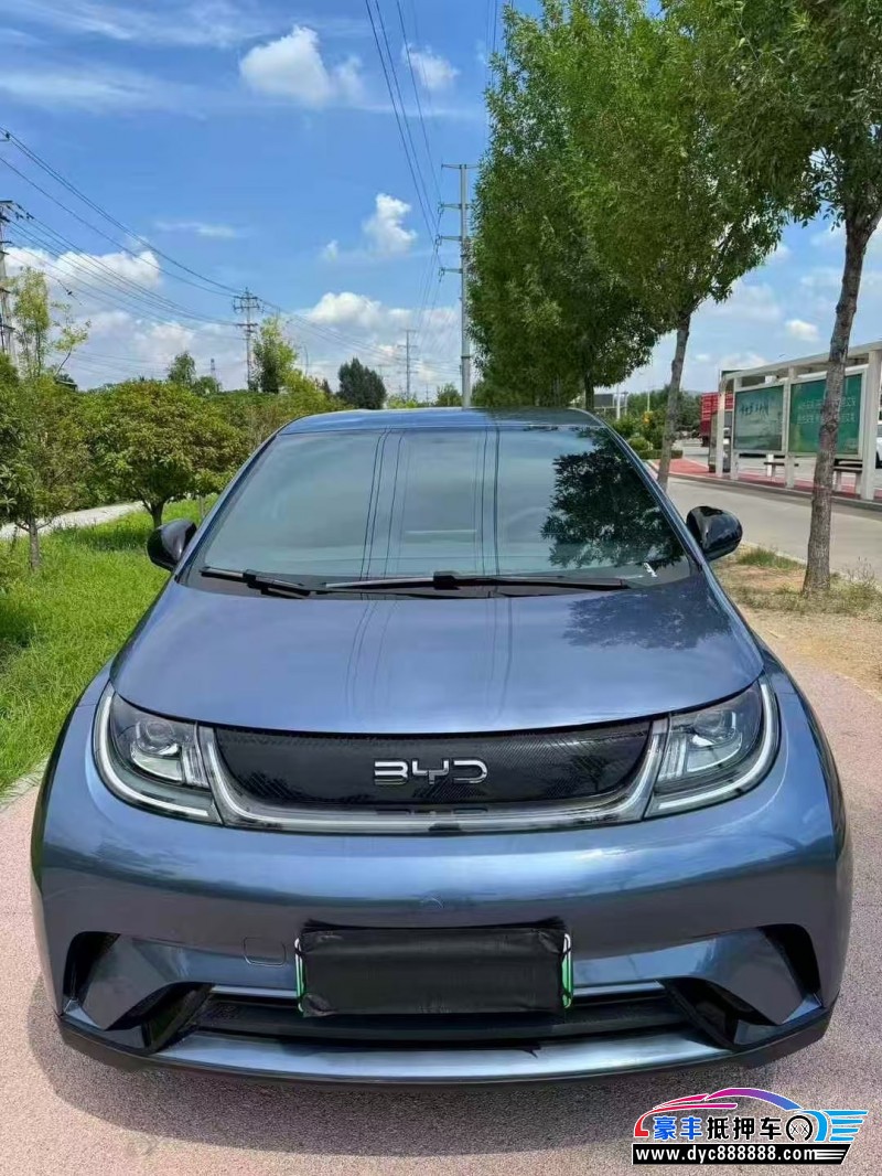 25年比亚迪海豚轿车抵押车出售