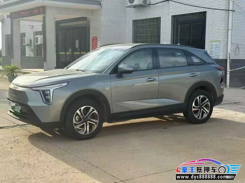 24年长城哈佛枭龙轿车抵押车出售