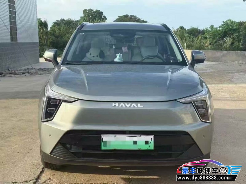 24年长城哈佛枭龙轿车抵押车出售