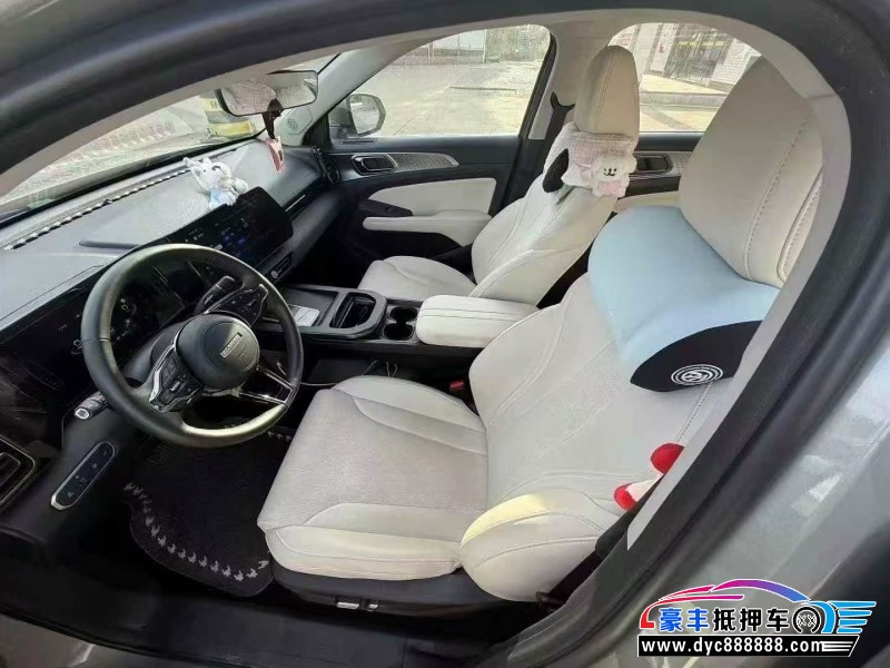 24年长城哈佛枭龙轿车抵押车出售