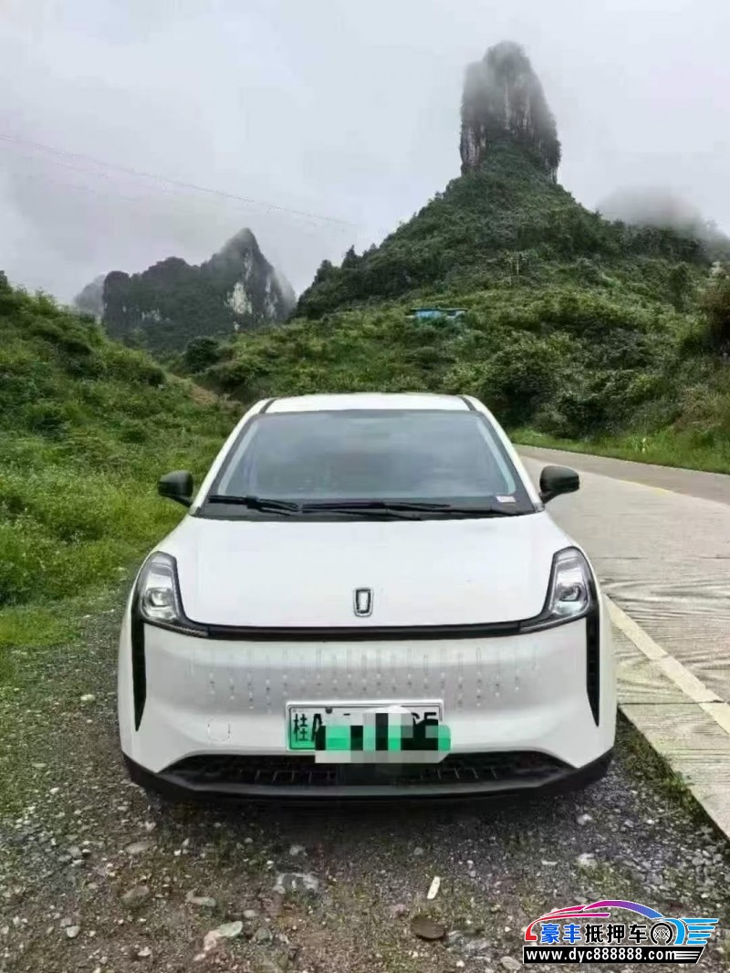 25年奔腾奔腾NAT轿车抵押车出售