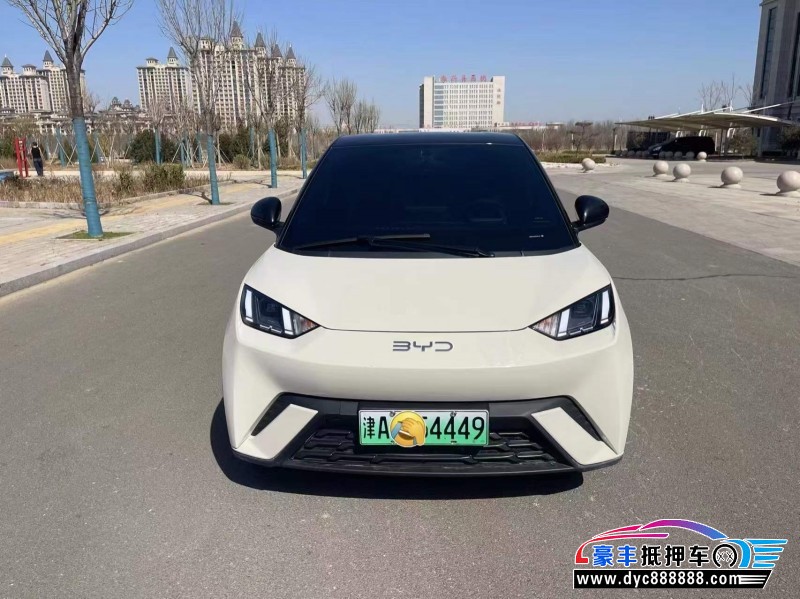 24年比亚迪海鸥SUV抵押车出售