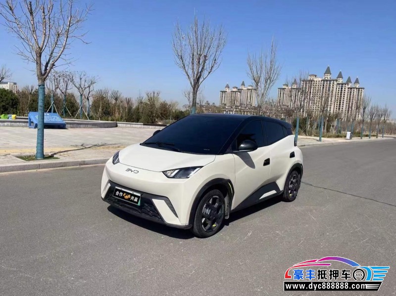 24年比亚迪海鸥SUV抵押车出售