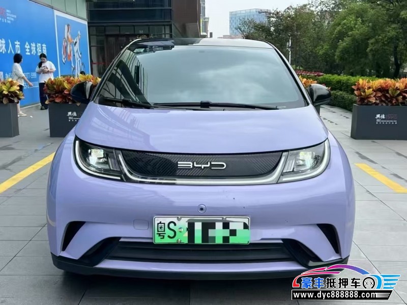 24年比亚迪海豚轿车抵押车出售