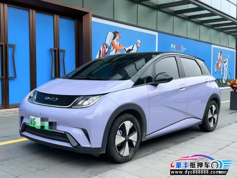 24年比亚迪海豚轿车抵押车出售