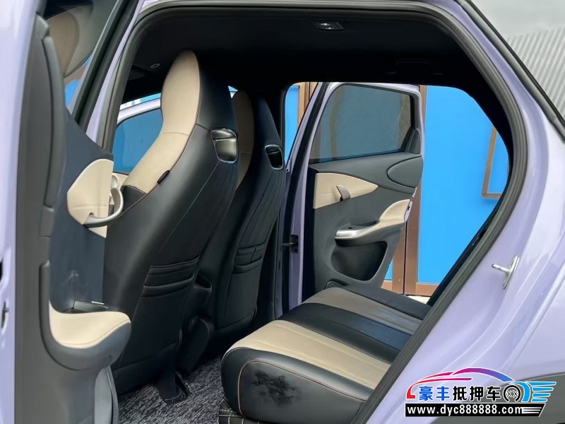 24年比亚迪海豚轿车抵押车出售