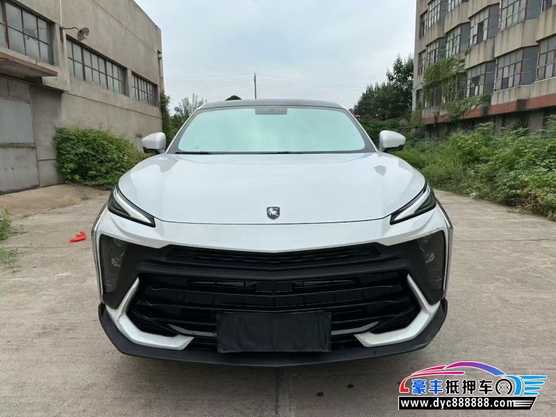 24年东风风行T5轿车抵押车出售