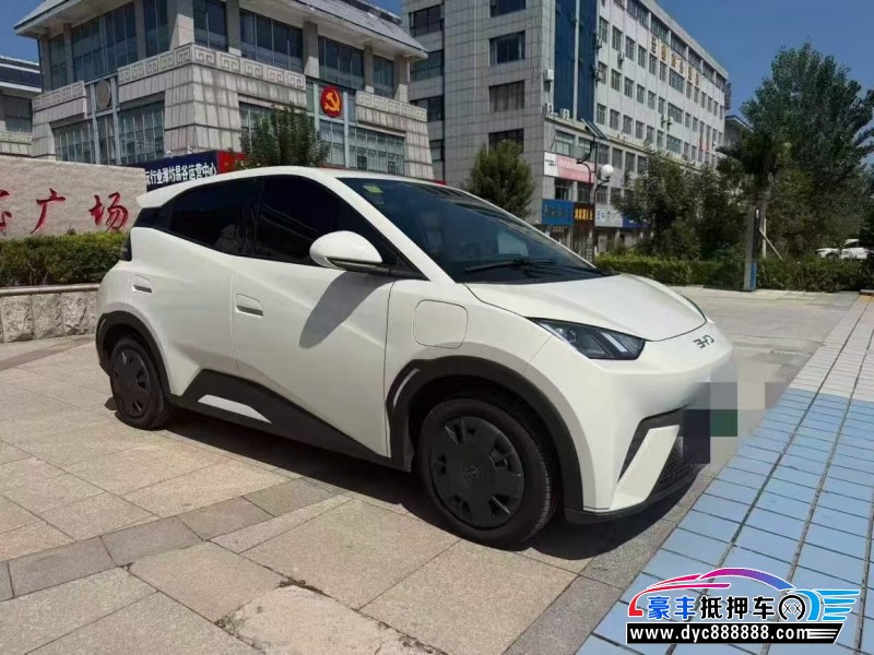 25年比亚迪海鸥轿车抵押车出售