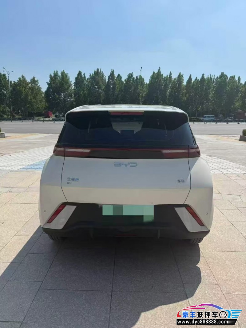 25年比亚迪海鸥轿车抵押车出售