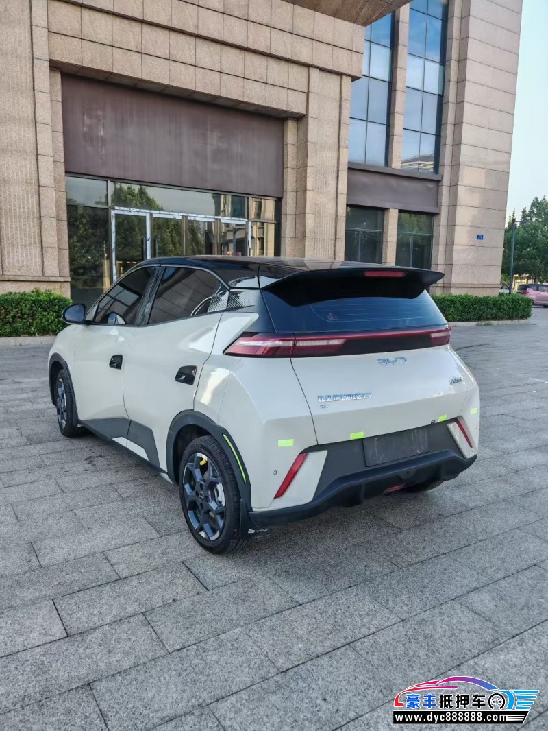 24年比亚迪海鸥轿车抵押车出售