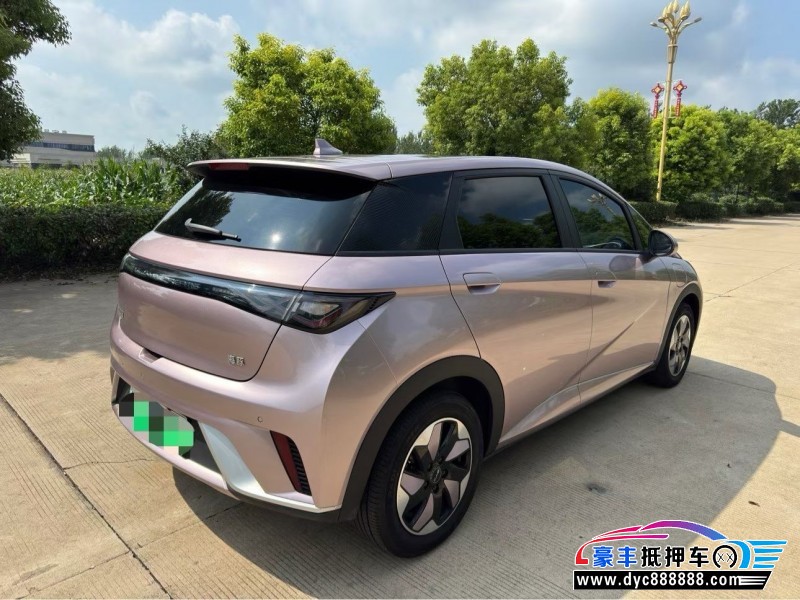 24年比亚迪海豚轿车抵押车出售