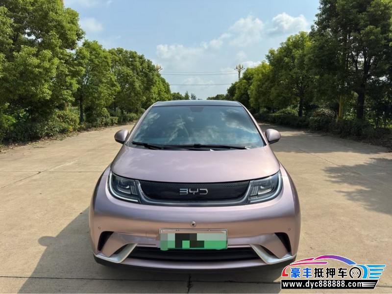 24年比亚迪海豚轿车抵押车出售