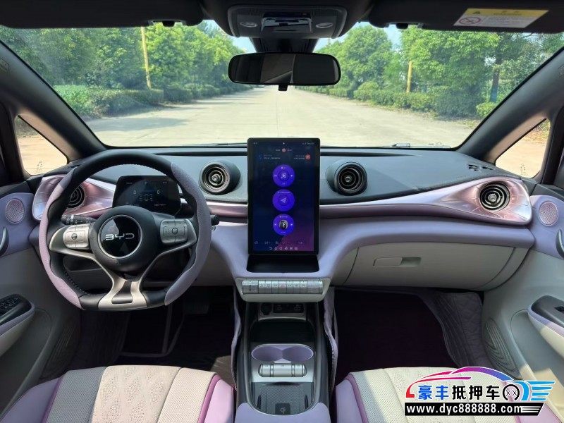 24年比亚迪海豚轿车抵押车出售